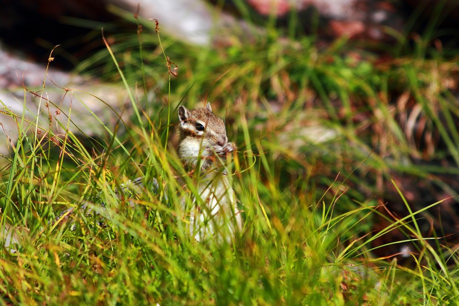 Поход по Ергакам