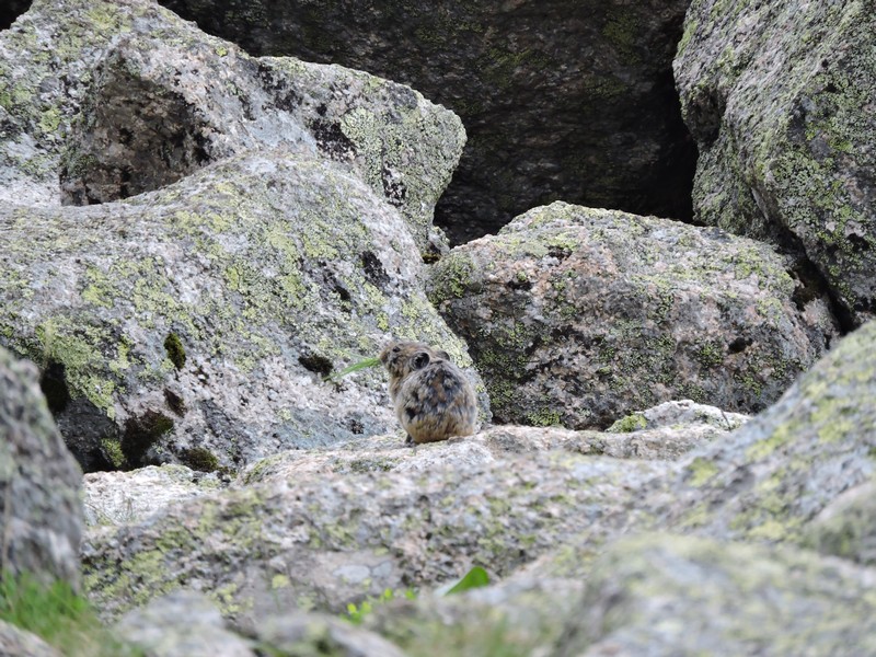 Поход по Ергакам
