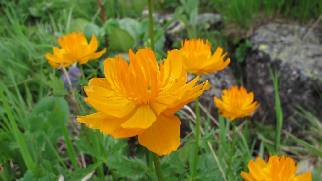 Поход по Ергакам