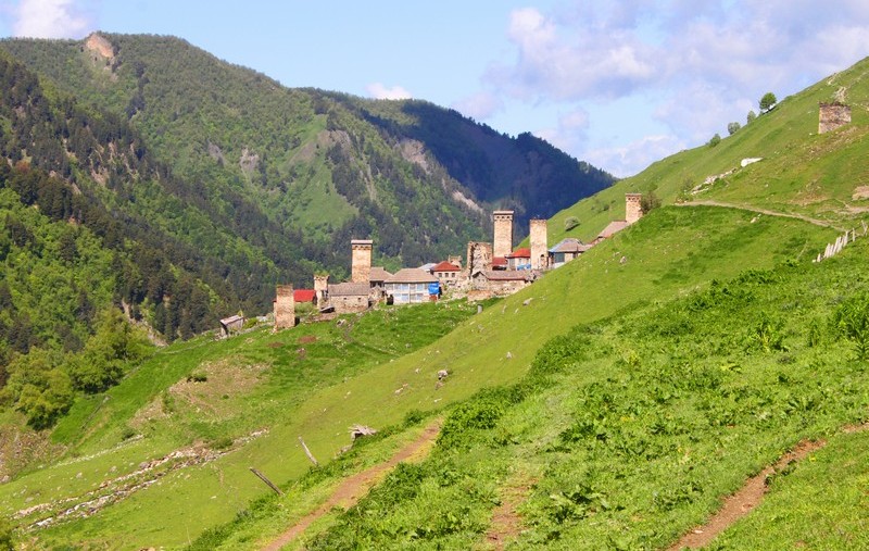 Рододендрон кавказский