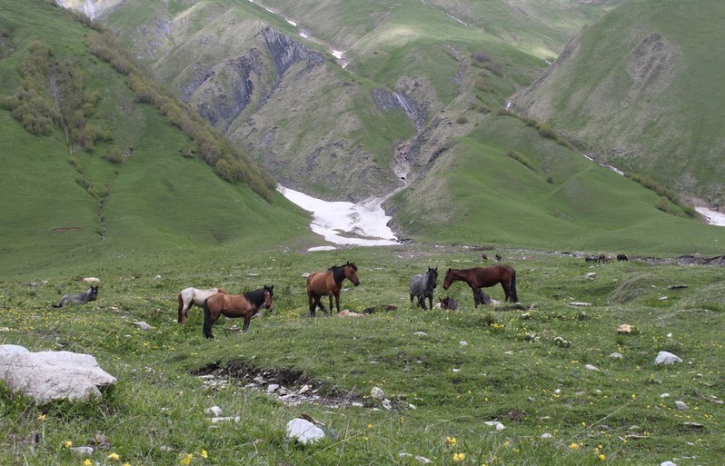  Шхара в тумане