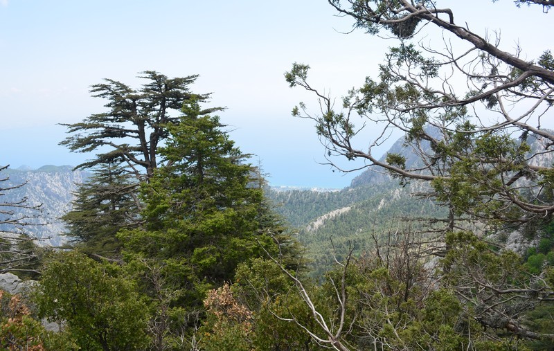 Мой Ликийский путь