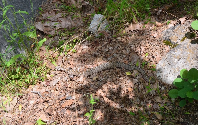 Мой Ликийский путь