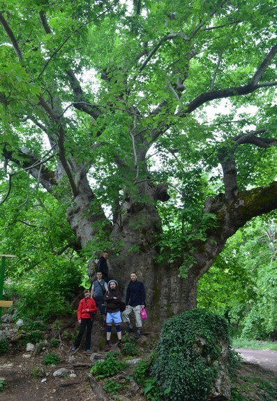 Мой Ликийский путь