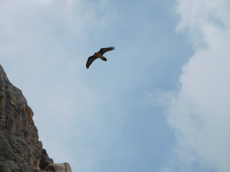 Фанские горы Артуч