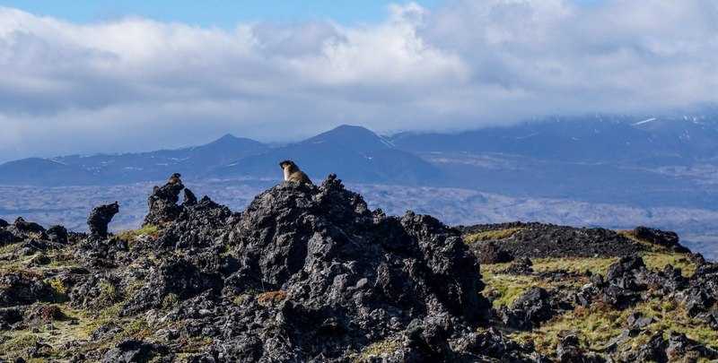 Поход на Камчатку