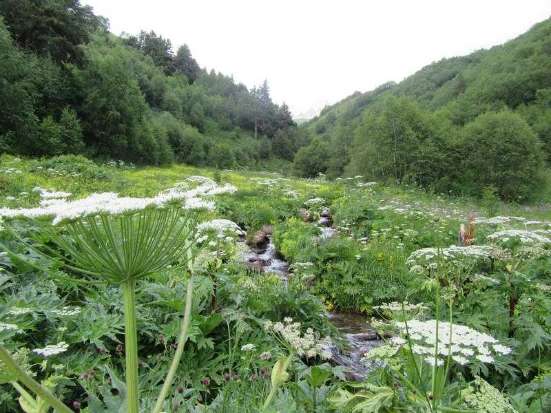 Отчёт о походах в Сванетии летом 2017 года