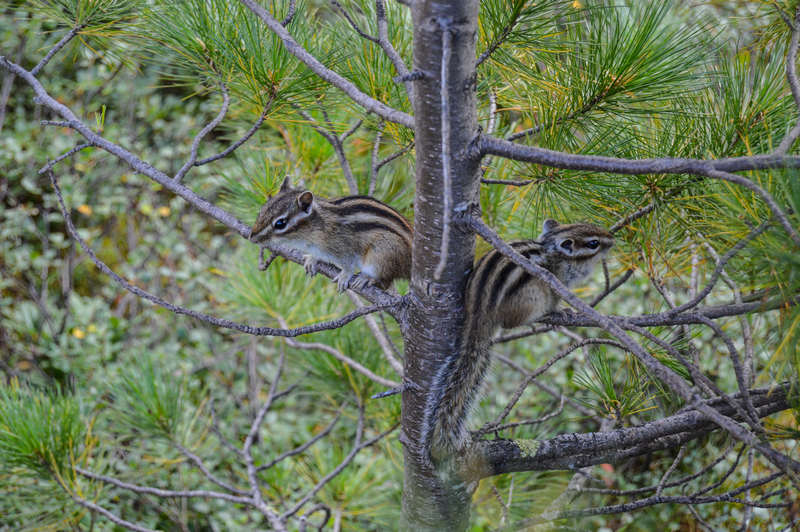 Поход в Ергаки