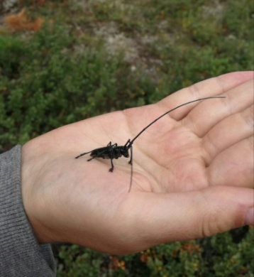 Поход в Ергаки