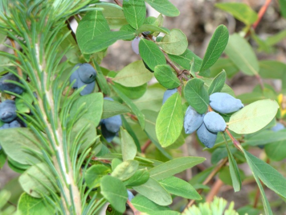 Поход в Ергаки