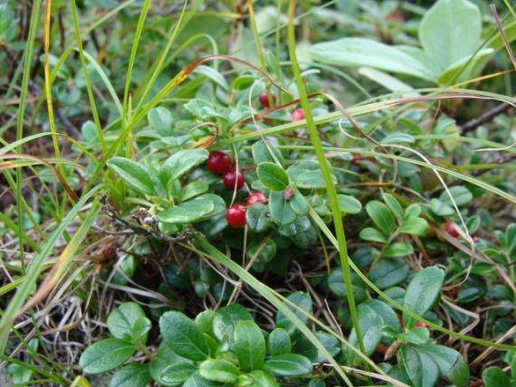 Поход в Ергаки