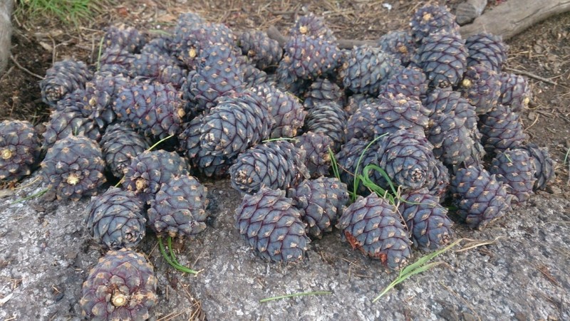 Поход в Ергаки