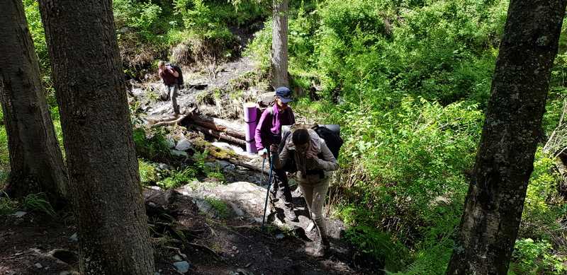Отчёт о походе на Алтай к подножию Белухи в июле 2019 года