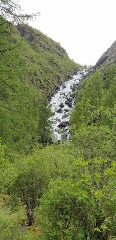 Отчёт о походе на Алтай к подножию Белухи в июле 2019 года