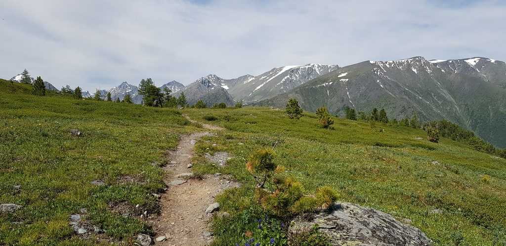 Отчёт о походе на Алтай к подножию Белухи в июле 2019 года