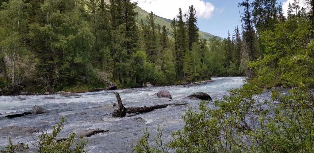 Отчёт о походе на Алтай к подножию Белухи в июле 2019 года