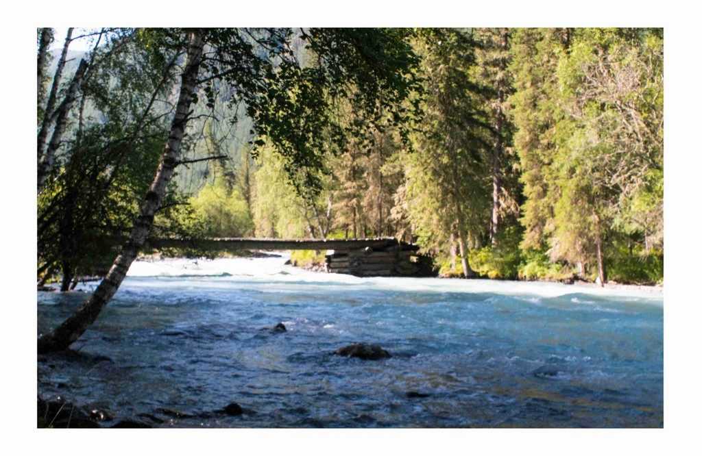 Отзыв о походе на Алтай "К подножию Белухи"