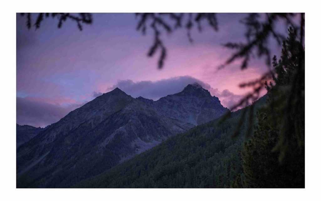 Отзыв о походе на Алтай "К подножию Белухи"
