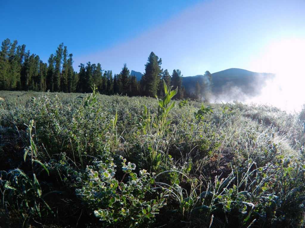 Ергаки озеро Светлое тайга
