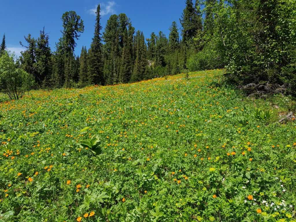 озеро Таёжный глаз Ергаки