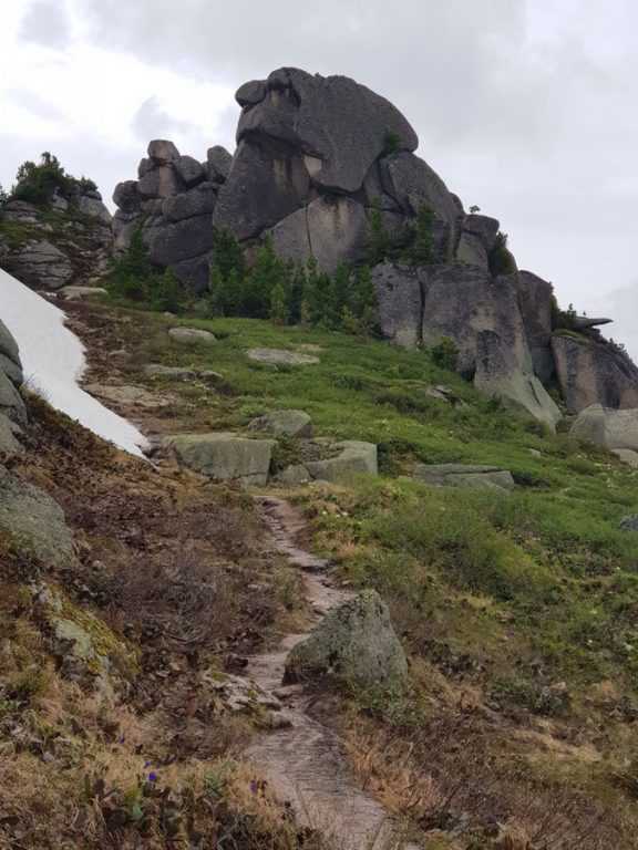 Слоник Собака Ергаки