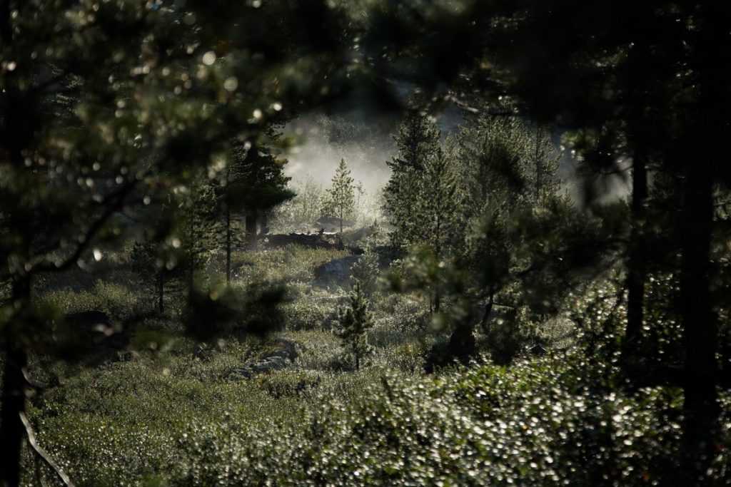 Природа Ергаки