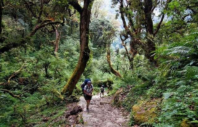 треккинг "Знакомство с Непалом"