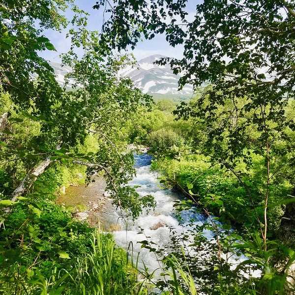 Вулканы и горячие источники Налычево