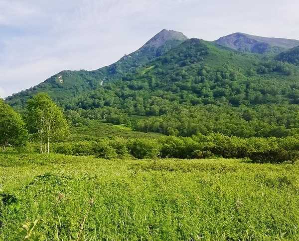 Вулканы и горячие источники Налычево