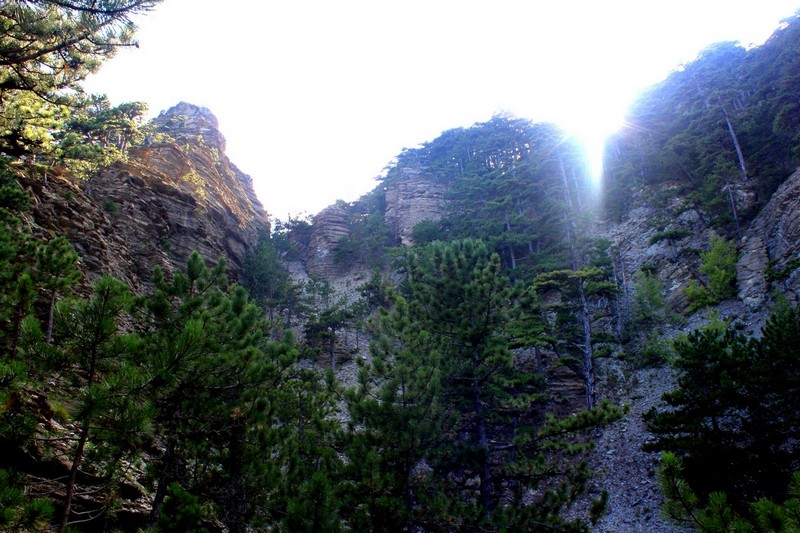 Поход в Крым