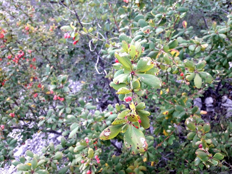 Поход в Крым