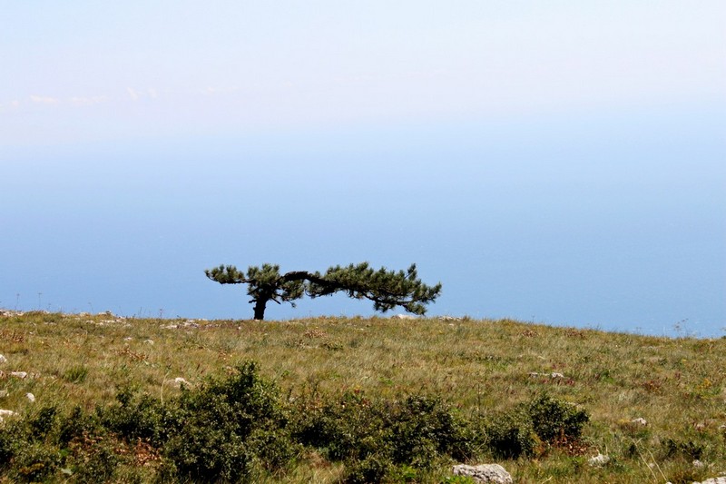 Поход в Крым