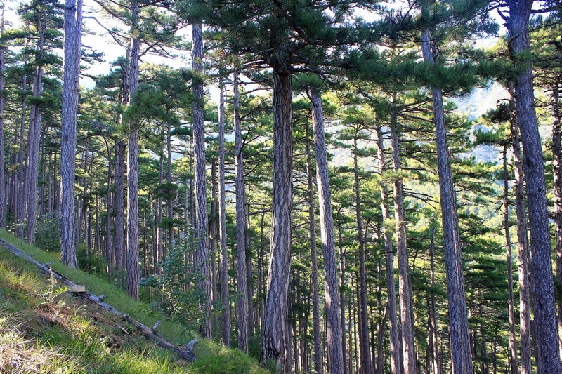 Поход в Крым