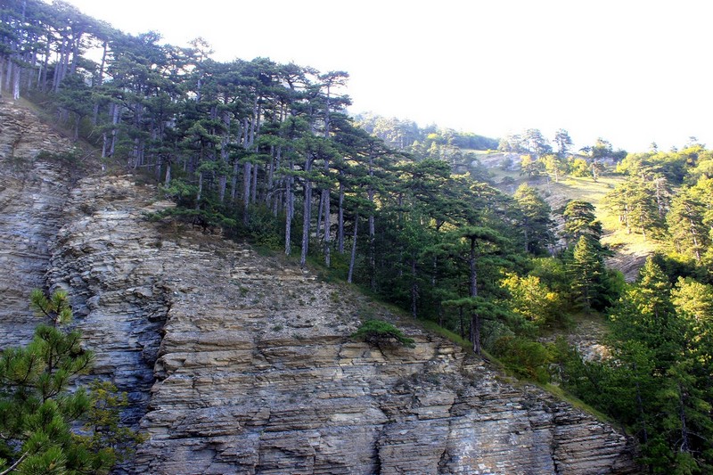 Поход в Крым