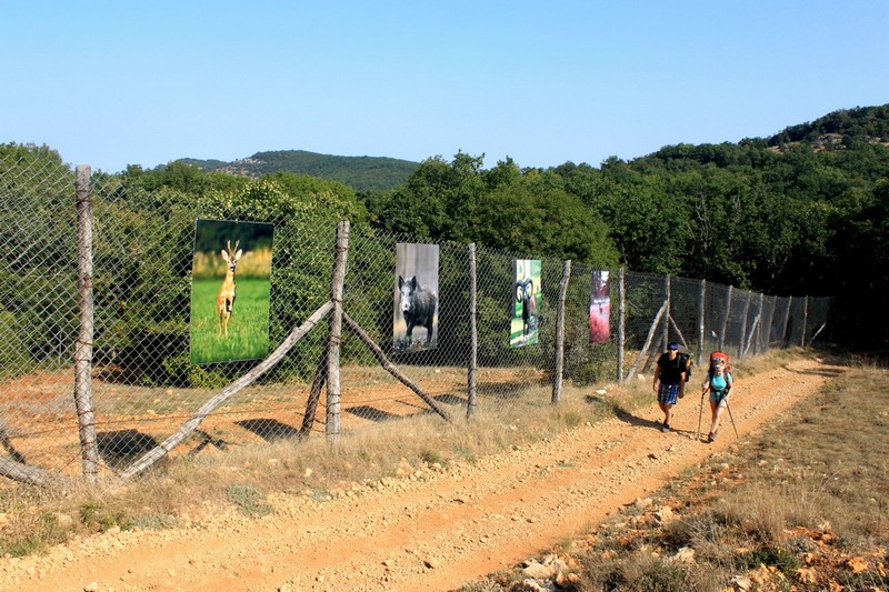 Поход по Крыму