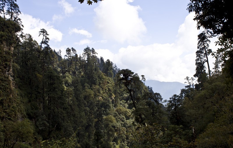 Треккинг в Непале