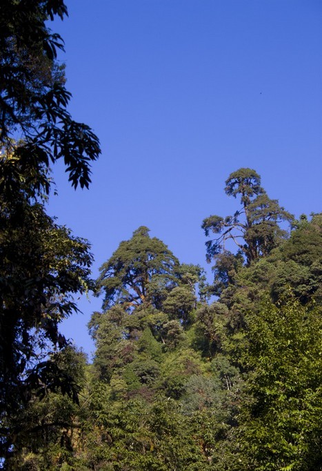 Треккинг в Непале