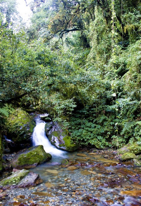 Треккинг в Непале