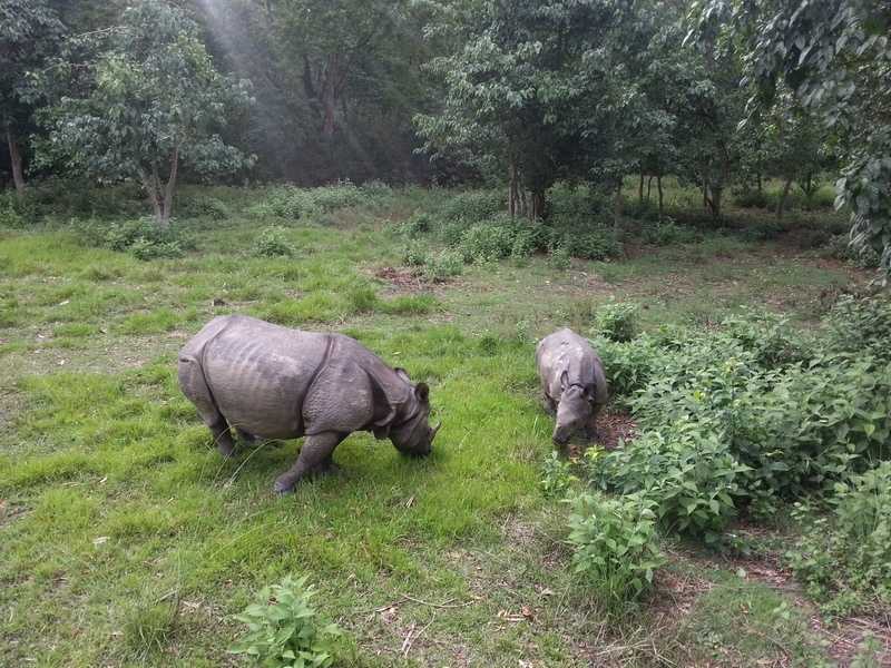 Читван треккинг в Непале