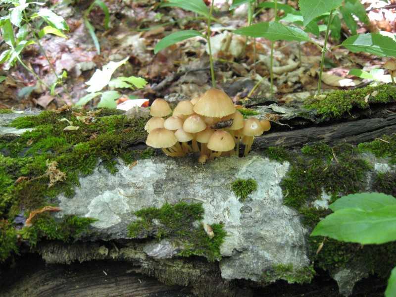 Поход в Крым отчёт Хапхал