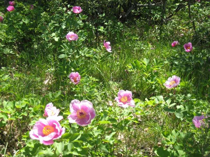 Караби Крым отчёт о походе