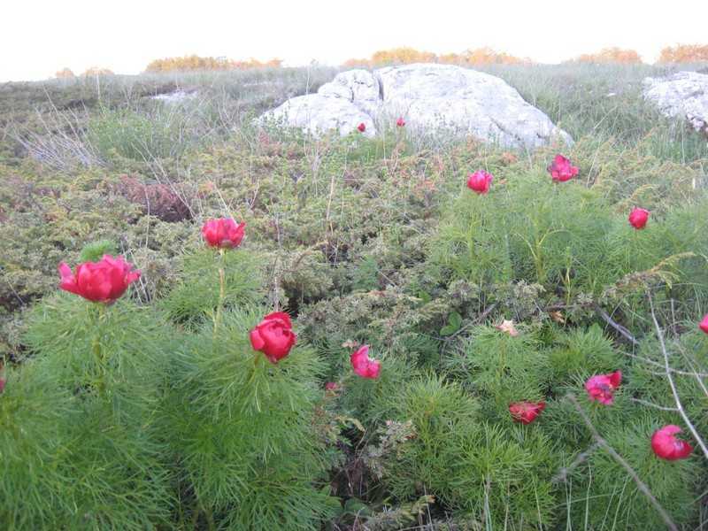 Поход в Крым отчёт