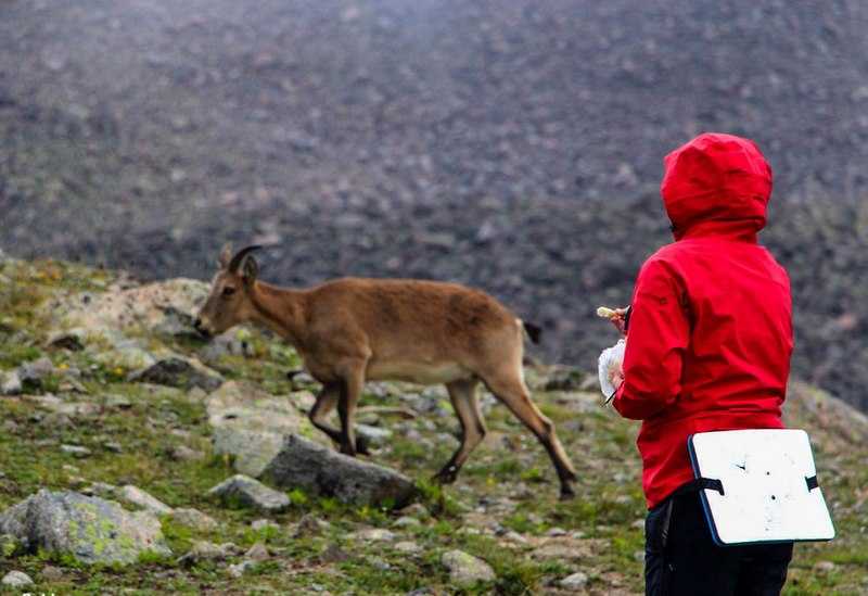 Восхождение Эльбрус юг