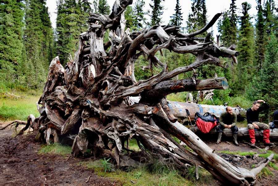 Тропа Сказка Ергаки