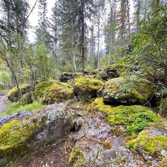 Поход на Алтай к Белухе