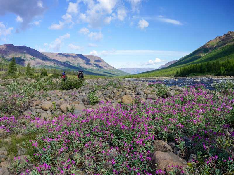 Поход на плато Путорана