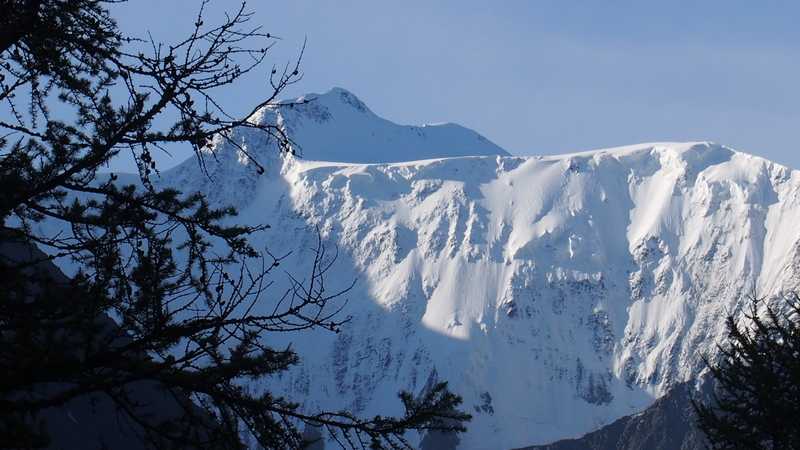 Гора Белуха