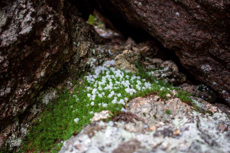 Отчет о походе на Хамар-Дабан