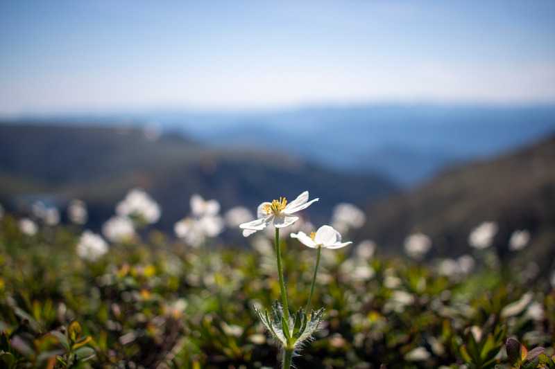 Поход летом