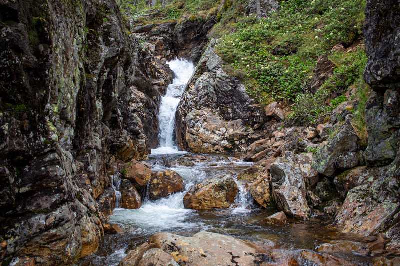 Поход на Хамар-Дабан